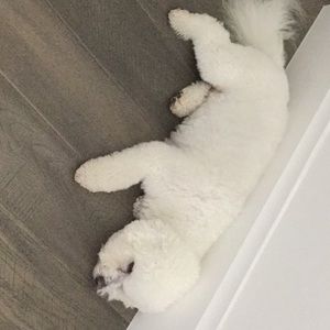 Meet your Posher, Dana